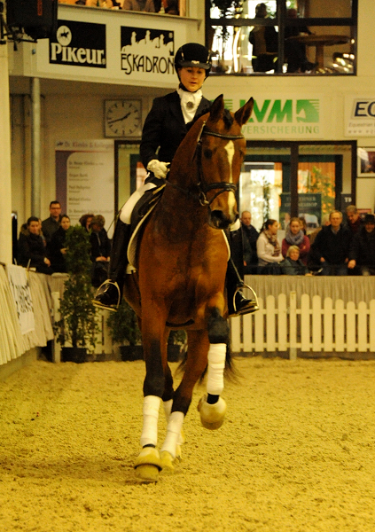 High Motion v.  Saint Cyr v. Kostolany - Foto: Beate Langels - Trakehner Gestt Hmelschenburg