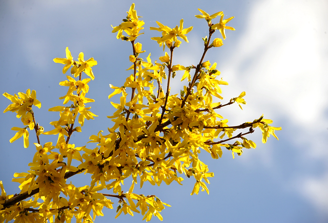 7. April 2016 - Gestt Hmelschenburg