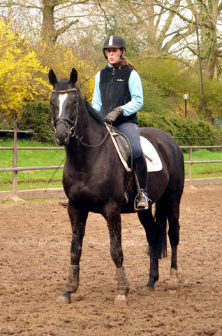 7. April 2016 - Apollo - Gestt Hmelschenburg