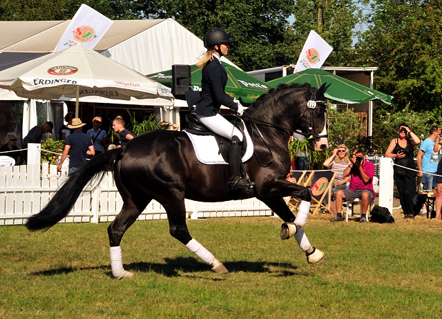 Greenwich Park von Saint Cyr - Foto: Beate Langels - Trakehner Gestt Hmelschenburg