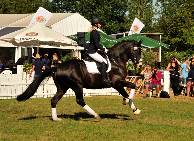 Greenwich Park von Saint Cyr - Foto: Beate Langels - Trakehner Gestt Hmelschenburg