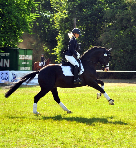 Greenwich Park von Saint Cyr - Foto: Beate Langels - Trakehner Gestt Hmelschenburg