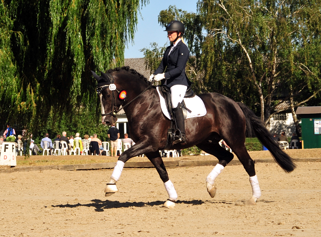 Greenwich Park von Saint Cyr - Foto: Beate Langels - Trakehner Gestt Hmelschenburg