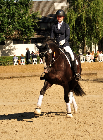 Greenwich Park von Saint Cyr - Foto: Beate Langels - Trakehner Gestt Hmelschenburg