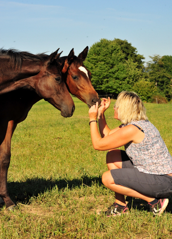 Valentine und Gabbana v. High Motion  Gestt Hmelschenburg - copyright by Beate Langels