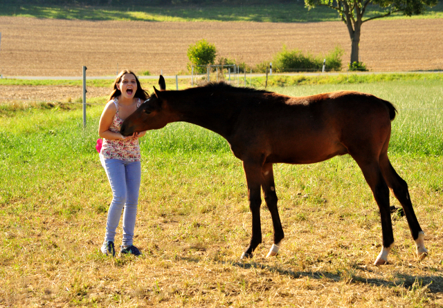 Leni mit Hengstfohlen a.d. Thirica -  Gestt Hmelschenburg - copyright by Beate Langels