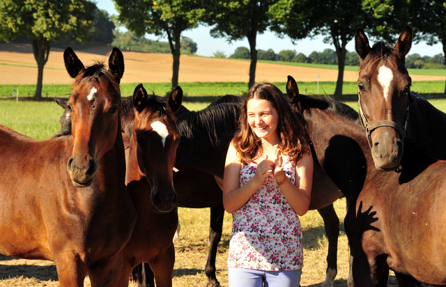 Stuten und Fohlen im Gestt Hmelschenburg - copyright by Beate Langels