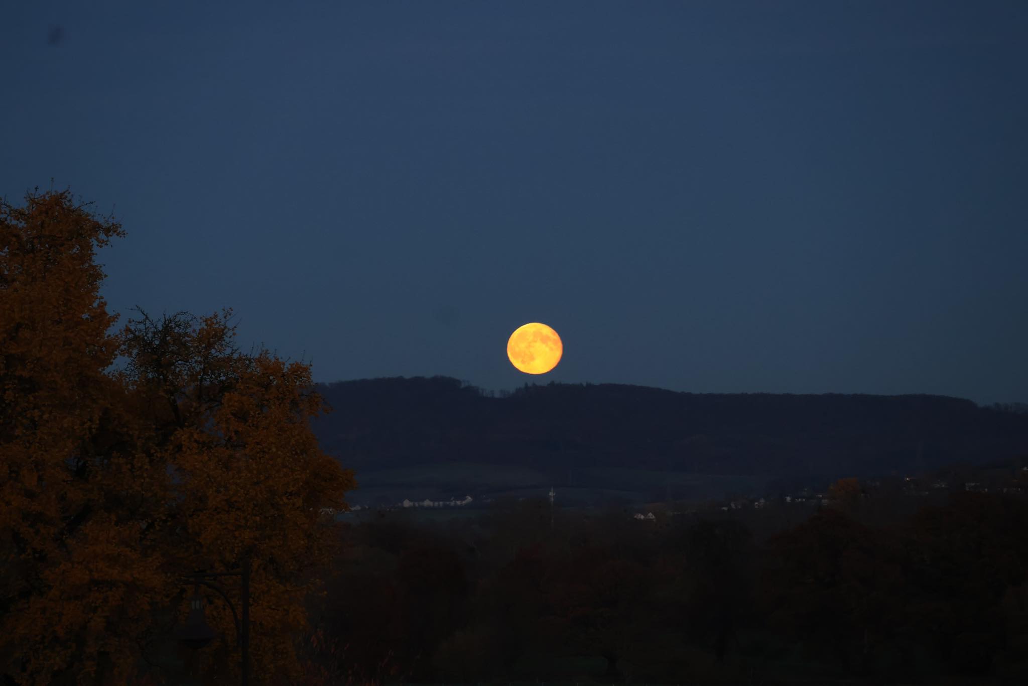 6.11.2025 Supermond im November - Trakehner Gestt Hmelschenburg - Foto Beate Langels 