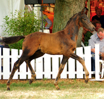 In Style von Saint Cyr - Foto Beate Langels