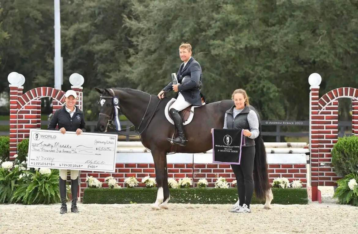 The Irish (fr.Guardiola) Trakehner von Saint Cyr u.d. Greta Garbo - Januar 2022   -
Trakehner Gestt Hmelschenburg, Foto Andrew Ryback