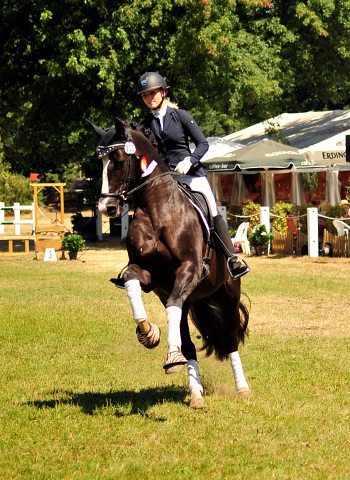 Greenwich Park von Saint Cyr - Foto: Beate Langels - Trakehner Gestt Hmelschenburg