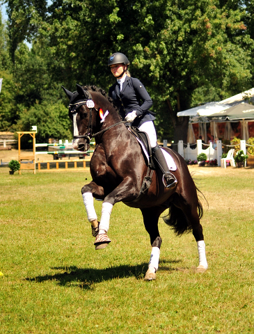 Greenwich Park von Saint Cyr - Foto: Beate Langels - Trakehner Gestt Hmelschenburg