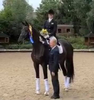 Seal von Gribaldi u.d. Elitestute Schwalbenspiel v. Exclusiv - Foto: Beate Langels - 
Trakehner Gestt Hmelschenburg