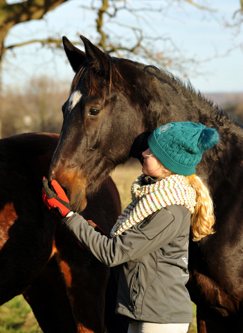 2jhriger Hengst von Kostolany u.d. Schwalbenfeder v. Summertime - 9. Januar 2016  im
Trakehner Gestt Hmelschenburg