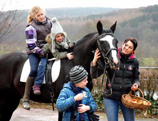20. Geburtstag von ALTER FRITZ v. Chardonnay u.d. StPrSt. Agatha Christie v. Kokoschka - 
Foto: Beate Langels - Trakehner Gestt Hmelschenburg
