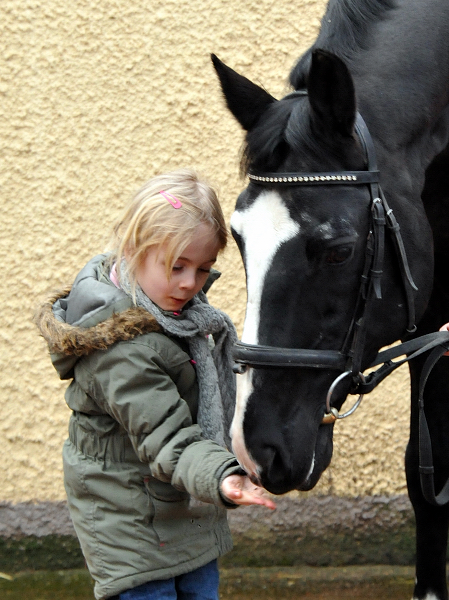 20. Geburtstag von ALTER FRITZ v. Chardonnay u.d. StPrSt. Agatha Christie v. Kokoschka - 
Foto: Beate Langels - Trakehner Gestt Hmelschenburg