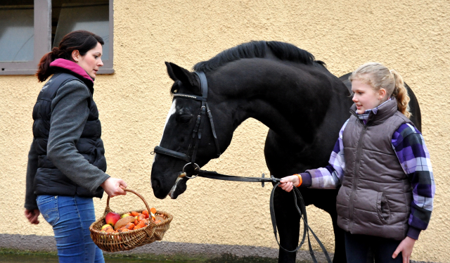 20. Geburtstag von ALTER FRITZ v. Chardonnay u.d. StPrSt. Agatha Christie v. Kokoschka - 
Foto: Beate Langels - Trakehner Gestt Hmelschenburg