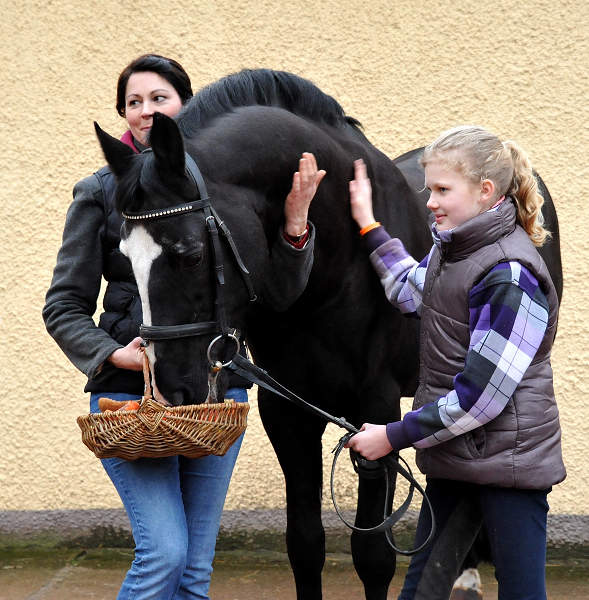 20. Geburtstag von ALTER FRITZ v. Chardonnay u.d. StPrSt. Agatha Christie v. Kokoschka - 
Foto: Beate Langels - Trakehner Gestt Hmelschenburg