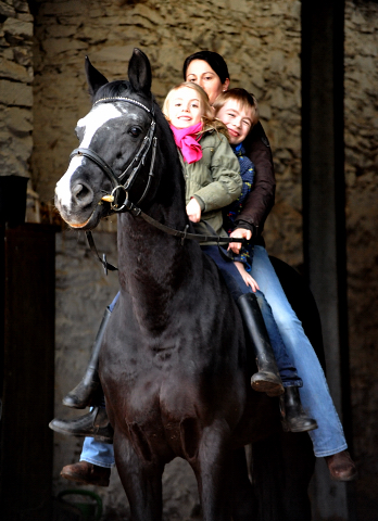 9. Februar 2016  - Alter Fritz wird 21 Jahre alt -
Trakehner Gestt Hmelschenburg
