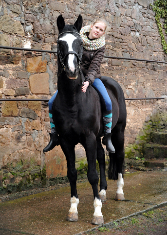 9. Februar 2016  - Alter Fritz wird 21 Jahre alt -
Trakehner Gestt Hmelschenburg
