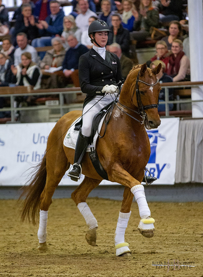 Zauberdeyk und Lune Karolin Mller copyright by Jutta Bauernschmitt - Trakehner Gestt Hmelschenburg - Beate Langels