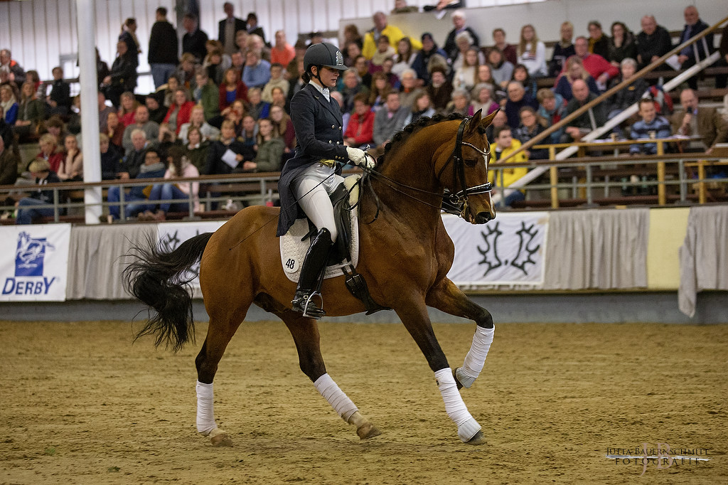 High Motion v. Saint Cyr und Vera Nass copyright by Jutta Bauernschmitt - Trakehner Gestt Hmelschenburg - Beate Langels