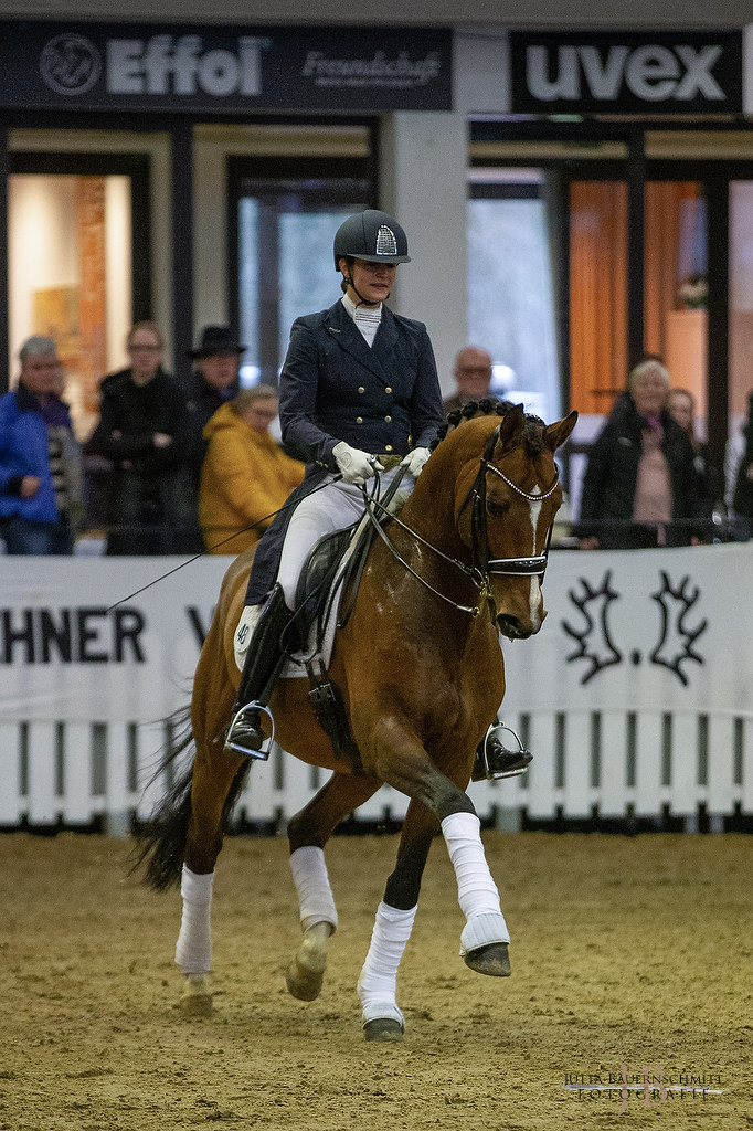 High Motion v. Saint Cyr und Vera Nass copyright by Jutta Bauernschmitt - Trakehner Gestt Hmelschenburg - Beate Langels