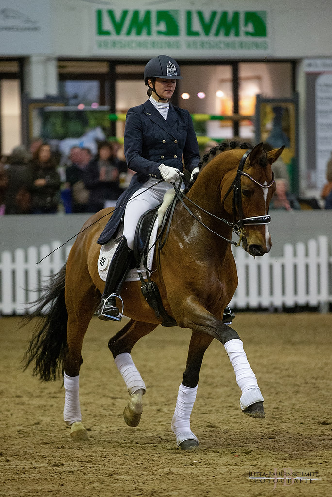 High Motion v. Saint Cyr und Vera Nass copyright by Jutta Bauernschmitt - Trakehner Gestt Hmelschenburg - Beate Langels