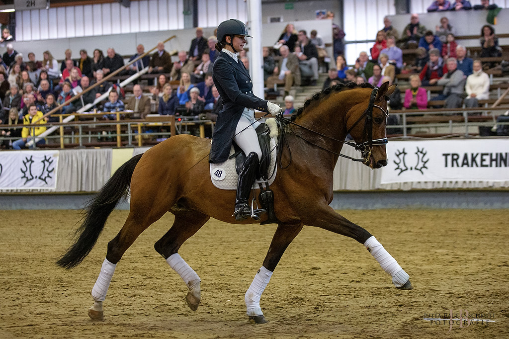 High Motion v. Saint Cyr und Vera Nass copyright by Jutta Bauernschmitt - Trakehner Gestt Hmelschenburg - Beate Langels