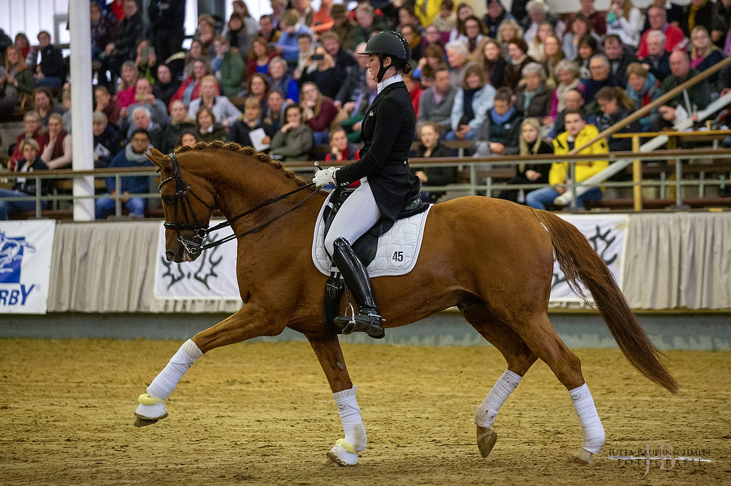 Zauberdeyk und Lune Karolin Mller copyright by Jutta Bauernschmitt - Trakehner Gestt Hmelschenburg - Beate Langels