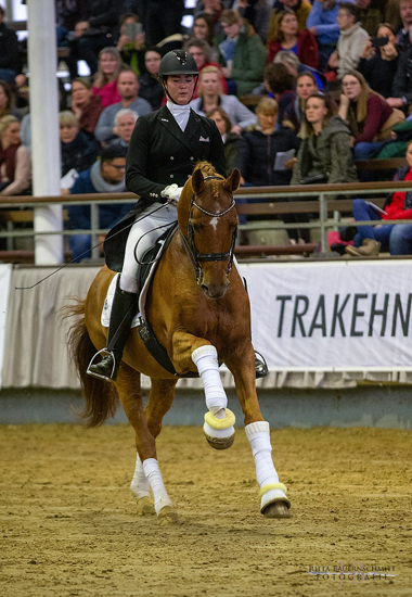 Zauberdeyk und Lune Karolin Mller copyright by Jutta Bauernschmitt - Trakehner Gestt Hmelschenburg - Beate Langels