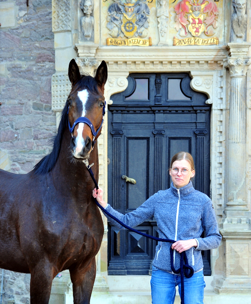 Trakehner von High Motion u.d. Val de Vienne v. Exclusiv - Foto Beate Langels
