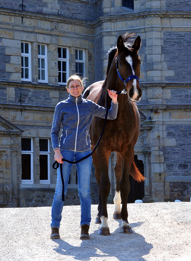 Trakehner von High Motion u.d. Val de Vienne v. Exclusiv - Foto Beate Langels