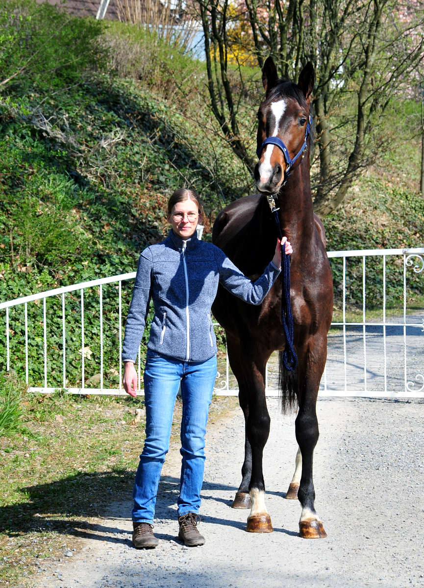 Trakehner von High Motion u.d. Val de Vienne v. Exclusiv - Foto Beate Langels