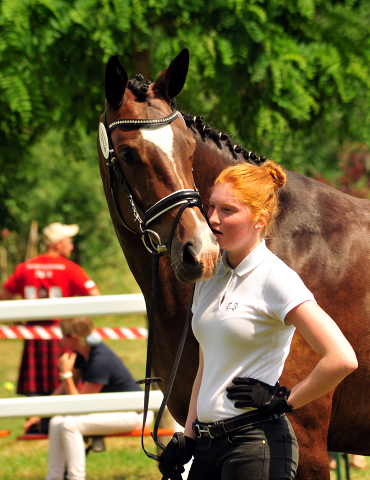 Staatsprmien- u. Prmienstute Tacyra v. Saint Cyr u.d. Pr.u.StPrSt. Tavolara v. Exclusiv  - Foto: Beate Langels -  
Trakehner Gestt Hmelschenburg