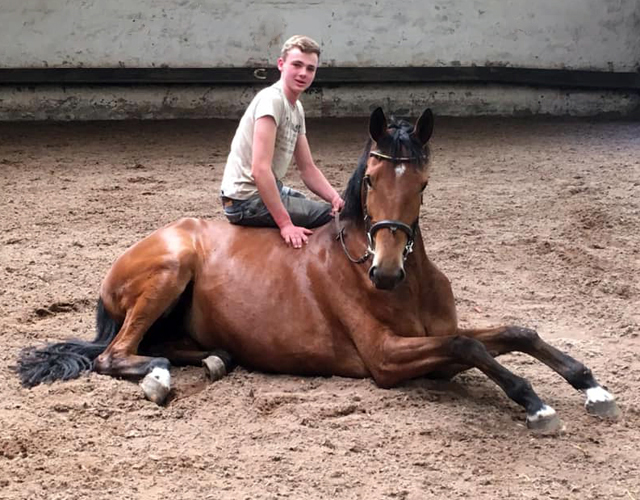 Stute von Honor du Soir u.d. Karena im Juni 2019 - Foto: Beate Langels