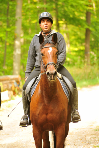 Ausritt im Oktober - Trakehner Gestt Hmelschenburg - Foto: Beate Langels