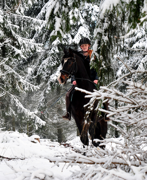 Schnee auf den Bergen rund um Hmelschenbug - Shavalou und Johanna haben ihn genossen - Foto: Beate Langels - 
Trakehner Gestt Hmelschenburg