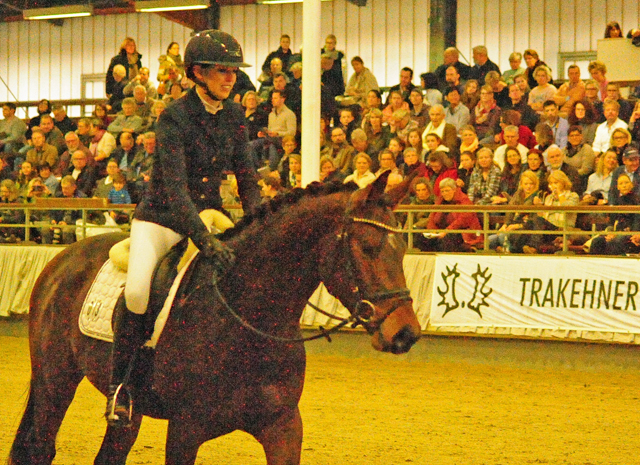 Special Motion von High Motion x Imperio  - Gestt Hmelschenburg - Foto: Beate Langels