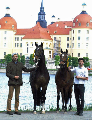 Daya Temi von Saint Cyr und Katniss Everdeen v. Saint Cyr - Gestt Schplitz - copyright  Langels, Trakehner Gestt Hmelschenburg