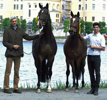 Katniss Everdeen von Saint Cyr - Siegerstute in Moritzburg 2015