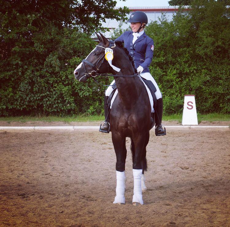 Greenwich Park - Hengst von Saint Cyr x Alter Fritz x Kostolany - Foto: von Rnne - Trakehner Gestt Hmelschenburg