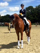 Santino von Freudenfest