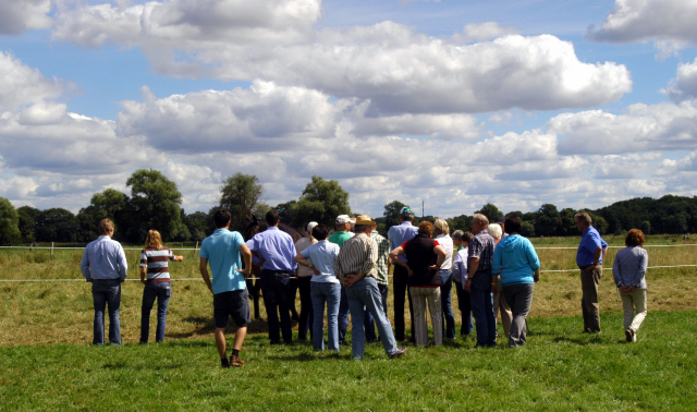 Besuch der Trakehner Freunde Weserbergland in Schplitz - 10. August 2012 - Foto: Beate Langels - Trakehner Gestt Hmelschenburg