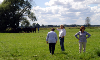 Besuch der Trakehner Freunde Weserbergland in Schplitz - 10. August 2012 - Foto: Beate Langels - Trakehner Gestt Hmelschenburg