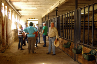 Besuch der Trakehner Freunde Weserbergland in Schplitz - 10. August 2012 - Foto: Beate Langels - Trakehner Gestt Hmelschenburg