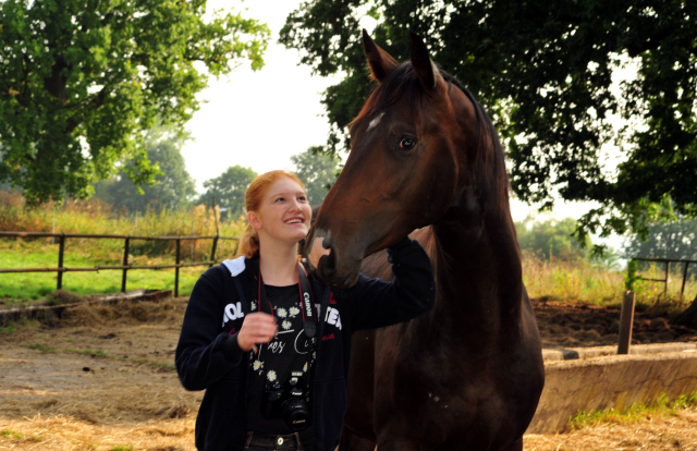 Zweijhriger Hengst von Saint Cyr x Red Patrick xx - Foto: Beate Langels -  
Trakehner Gestt Hmelschenburg