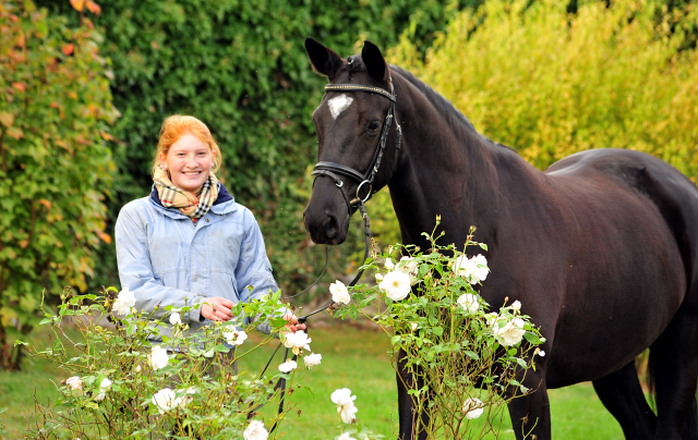 10. Oktober 2016 - Trakehner Gestt  Hmelschenburg - Beate Langels
