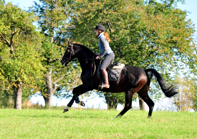 Shavalou und Johanna  - Foto: Beate Langels - Trakehner Gestt Hmelschenburg