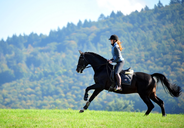 Shavalou und Johanna  - Foto: Beate Langels - Trakehner Gestt Hmelschenburg